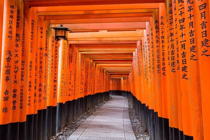 Kyoto & Nara Day Tour with Sagano Scenic Railway from Osaka — photo 9