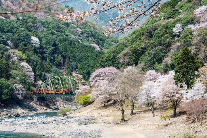 Kyoto & Nara Day Tour with Sagano Scenic Railway from Osaka — photo 5