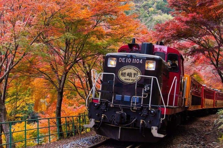 Kyoto & Nara Day Tour with Sagano Scenic Railway from Osaka — photo 2