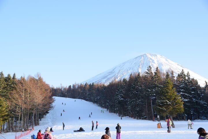 Mt Fuji Ski Resort Tour from Tokyo by Private Vehicle — photo 1