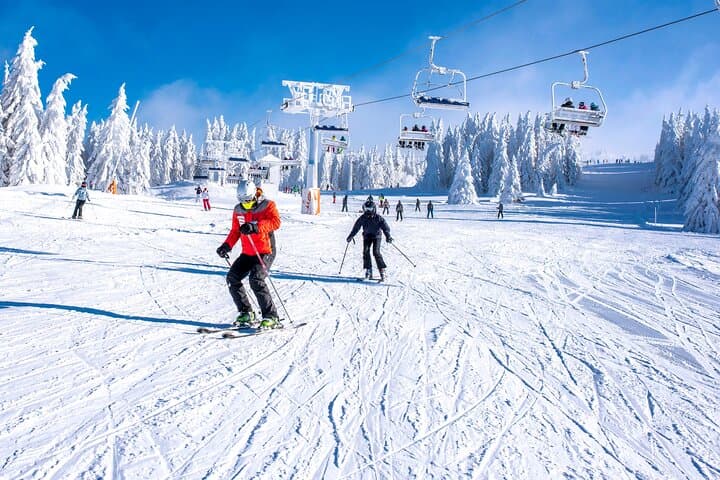Mt Fuji Ski Resort Tour from Tokyo by Private Vehicle — photo 5