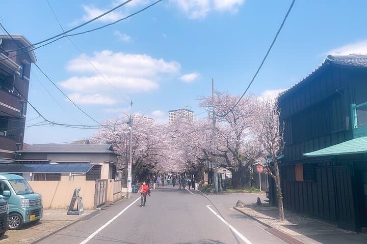 Yanaka & Ueno Tokyo's Old Town Charm - Temple, market,Retro Vibes — photo 6