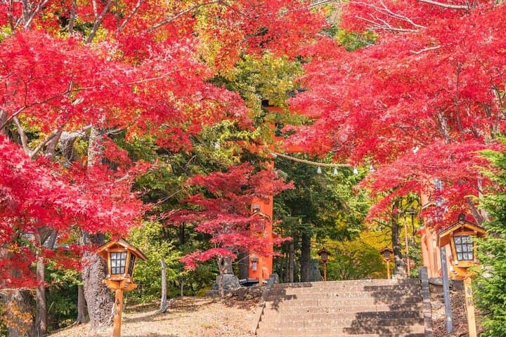 Mt Fuji Day Tour: Chureito Pagoda, Lake Kawaguchi & Oshino Hakkai — photo 2