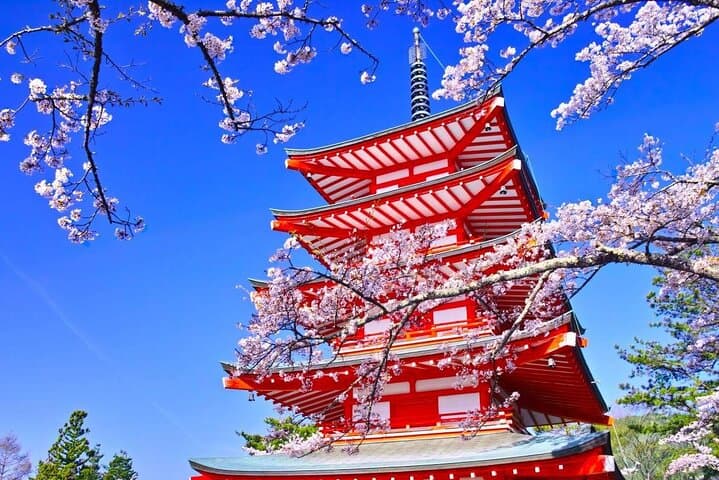 Mt Fuji Day Tour: Chureito Pagoda, Lake Kawaguchi & Oshino Hakkai — photo 3