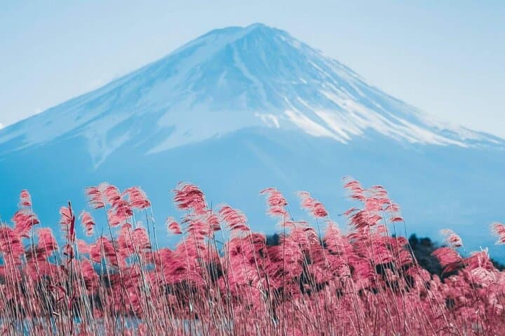 Mt Fuji Day Tour: Chureito Pagoda, Lake Kawaguchi & Oshino Hakkai — photo 6