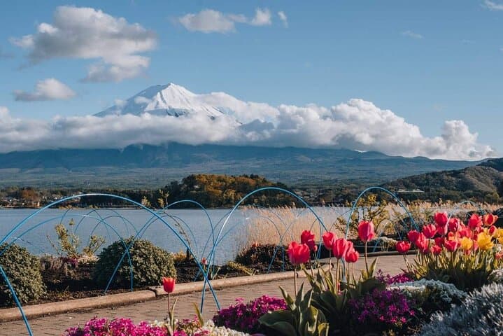 Mt Fuji Day Tour: Chureito Pagoda, Lake Kawaguchi & Oshino Hakkai — photo 7