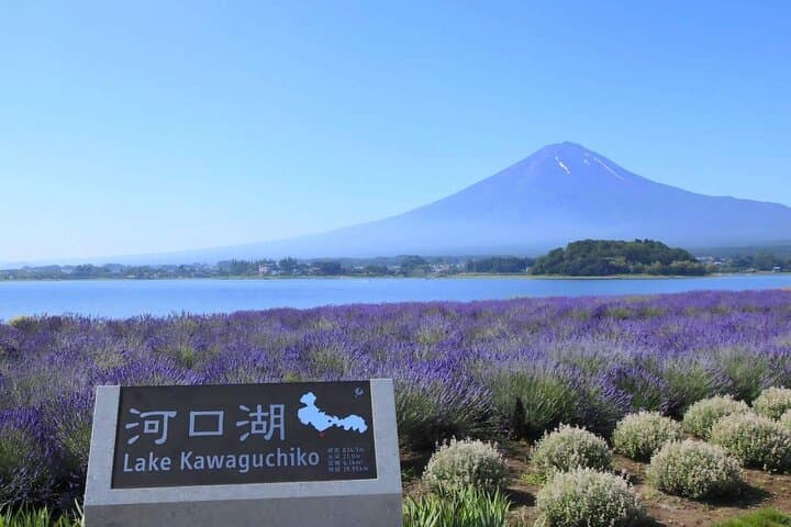 Mt Fuji Day Tour: Chureito Pagoda, Lake Kawaguchi & Oshino Hakkai — photo 8