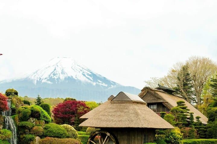 Mt Fuji Day Tour: Chureito Pagoda, Lake Kawaguchi & Oshino Hakkai — photo 9