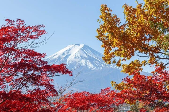 Mt Fuji Day Tour: Chureito Pagoda, Lake Kawaguchi & Oshino Hakkai — photo 12