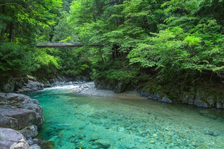 Nakasendo Trail Magome and Tsumago Day Hike Small Group Tour — photo 4