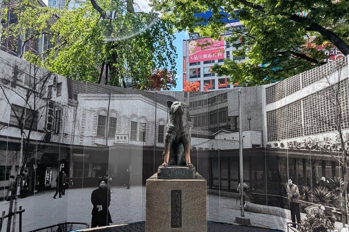 Shibuya Highlights Hachiko Scramble Meiji Jingu and Sky — photo 1
