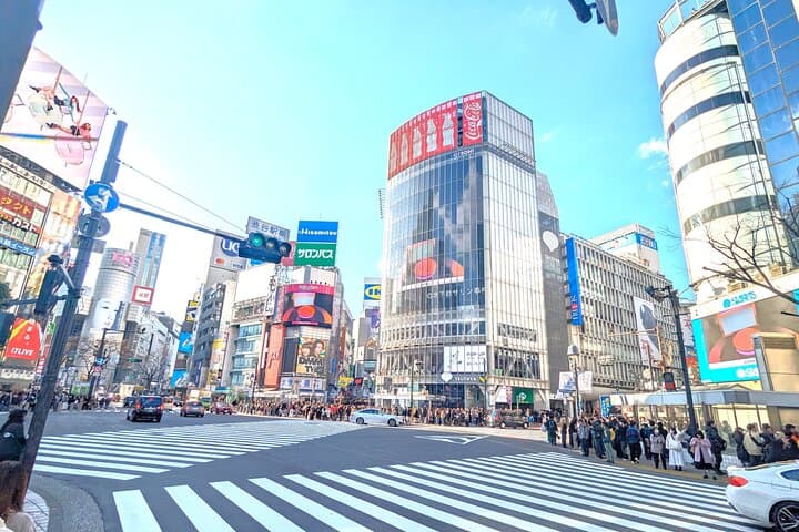 Shibuya Highlights Hachiko Scramble Meiji Jingu and Sky — photo 2