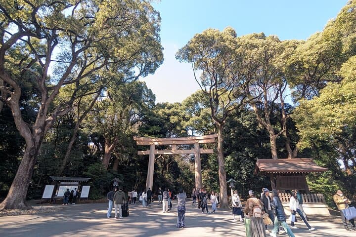 Shibuya Highlights Hachiko Scramble Meiji Jingu and Sky — photo 4