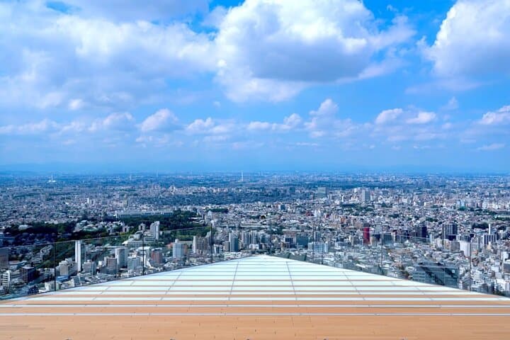 Shibuya Highlights Hachiko Scramble Meiji Jingu and Sky — photo 3