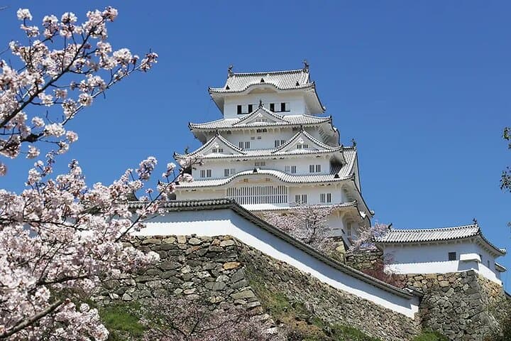 Explore Osaka Kyoto with Sightseeing Pass — photo 4
