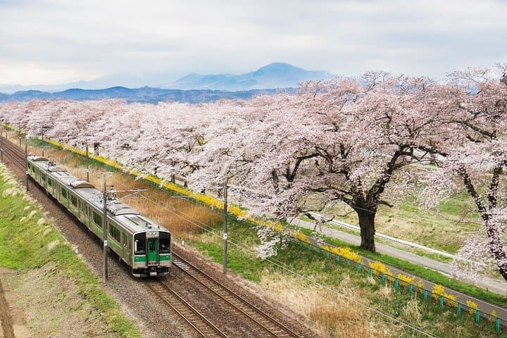 Explore Osaka Kyoto with Sightseeing Pass — photo 8
