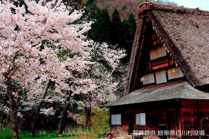 Shirakawago and Takayama Bus Tour from Nagoya — photo 6