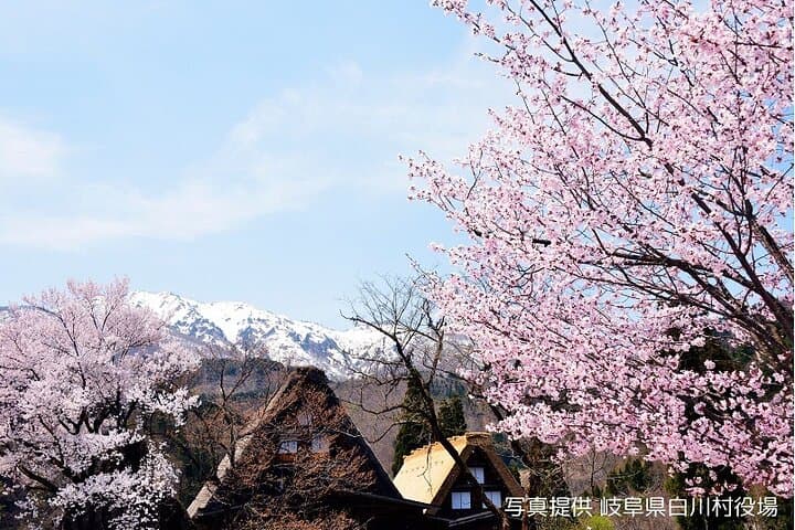 Shirakawago and Takayama Bus Tour from Nagoya — photo 7