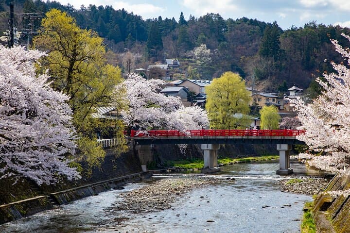 Shirakawago and Takayama 2 Days Tour from Nagoya — photo 7