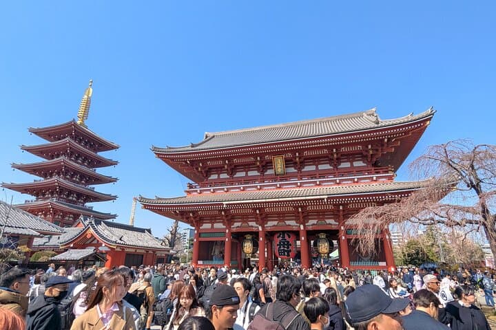 Private Walking Tour in Asakusa with Guide — photo 7