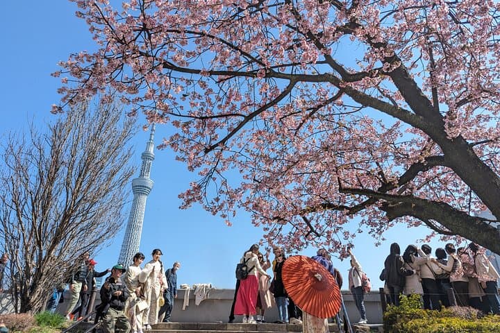 Private Walking Tour in Asakusa with Guide — photo 8