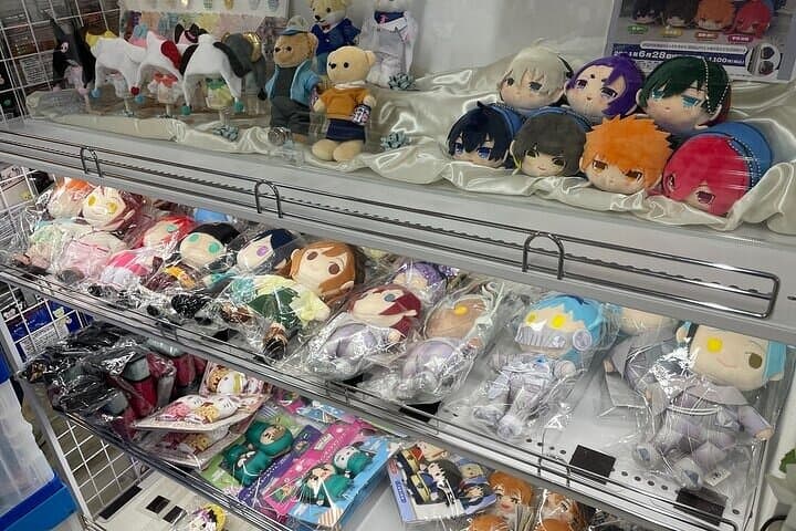 Tokyo Anime and Game Shopping Tour in Ikebukuro — photo 19