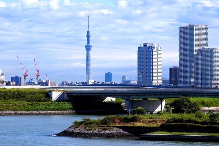 Guided Imperial Palace and Guided Tokyo City Private Day Trip — photo 10