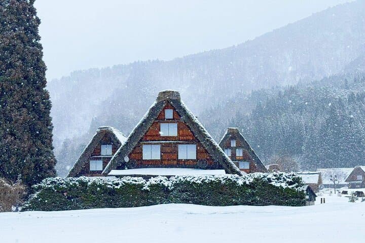 Shirakawago, Gujo Hachiman & Hida Takayama Day Tour | from Nagoya — photo 8