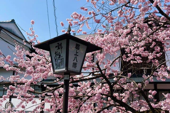 Shirakawago, Gujo Hachiman & Hida Takayama Day Tour | from Nagoya — photo 12