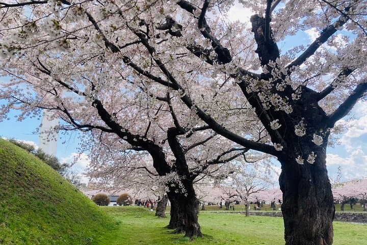 Wherever you want! 1-Day Private Tour from Sapporo to Furano more — photo 2