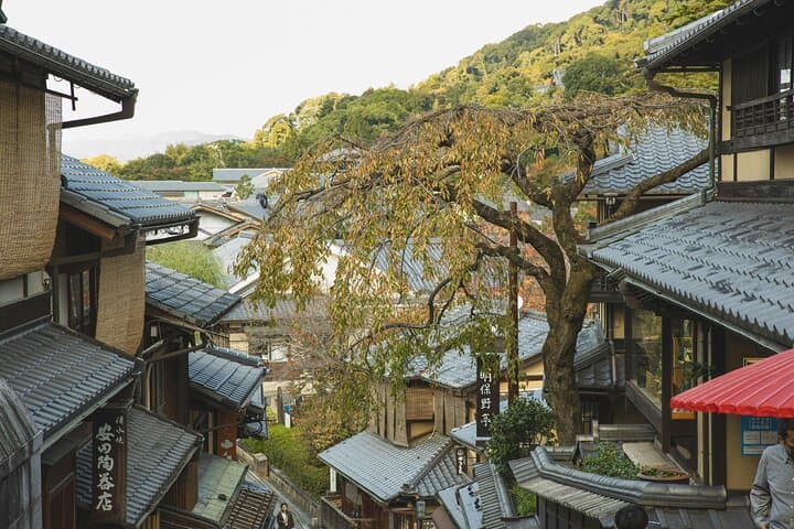 Kyoto Private Hightlights Customizable Tour&English Driver Guide — photo 13
