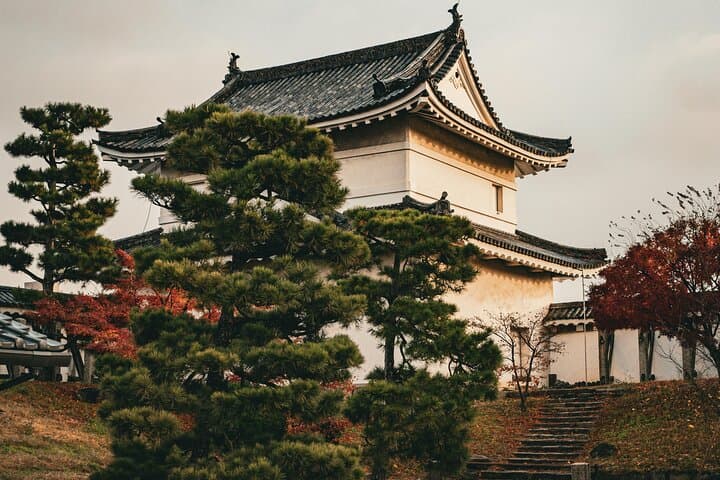 Kyoto Private Hightlights Customizable Tour&English Driver Guide — photo 14