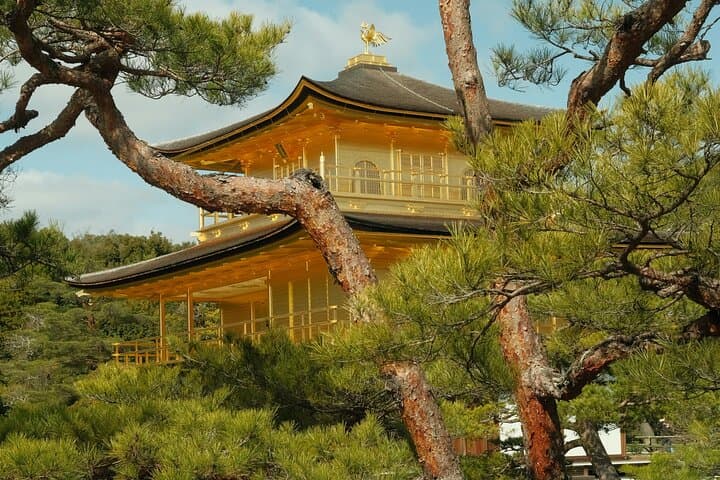 Kyoto Private Hightlights Customizable Tour&English Driver Guide — photo 5