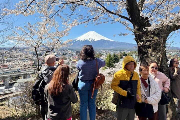 Tokyo: Customized Mt. Fuji & Hakone Sightseeing Private Day Trip — photo 14