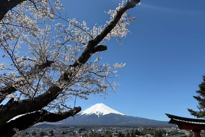 Tokyo: Customized Mt. Fuji & Hakone Sightseeing Private Day Trip — photo 15