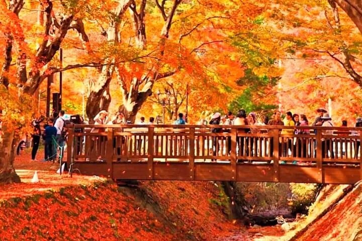 Instagram-worthy Mt. Fuji Spots & Kawaguchiko's Four Seasons Tour — photo 9
