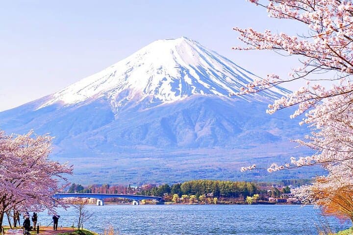 Instagram-worthy Mt. Fuji Spots & Kawaguchiko's Four Seasons Tour — photo 12
