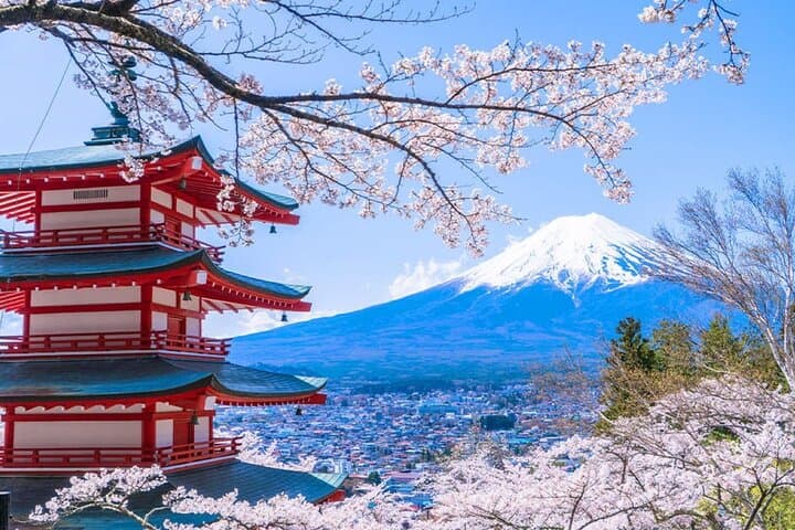 Instagram-worthy Mt. Fuji Spots & Kawaguchiko's Four Seasons Tour — photo 2