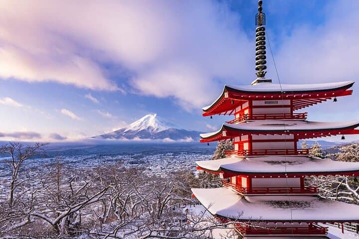 Instagram-worthy Mt. Fuji Spots & Kawaguchiko's Four Seasons Tour — photo 13