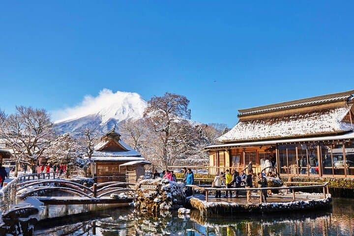 Instagram-worthy Mt. Fuji Spots & Kawaguchiko's Four Seasons Tour — photo 14