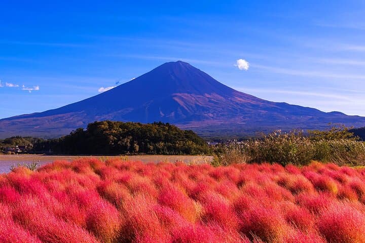 Instagram-worthy Mt. Fuji Spots & Kawaguchiko's Four Seasons Tour — photo 15
