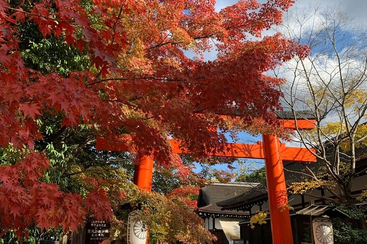 Kyoto&Nara Private Highlights Tour with English driver — photo 19