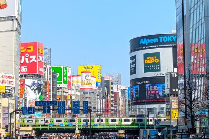 Hotspots Around Shinjuku Tour — photo 7