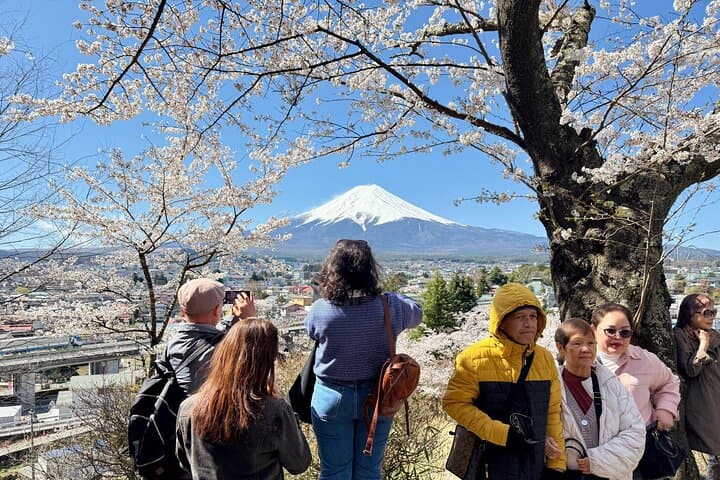 From Tokyo: Mount Fuji Private Trip with English Speaking Driver — photo 8