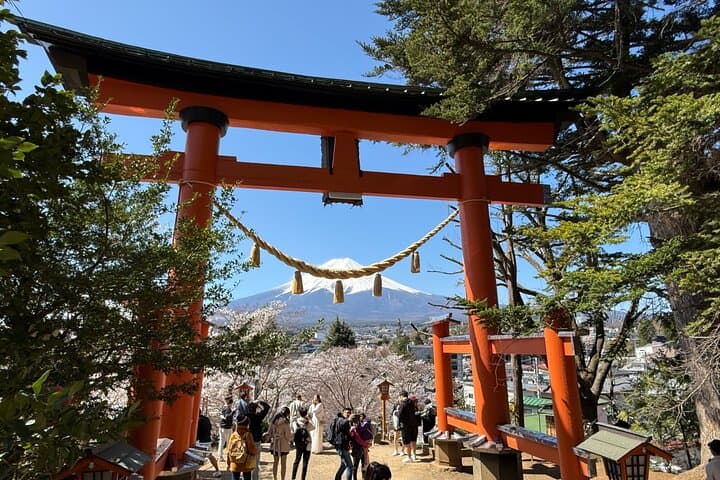 From Tokyo: Mount Fuji Private Trip with English Speaking Driver — photo 9
