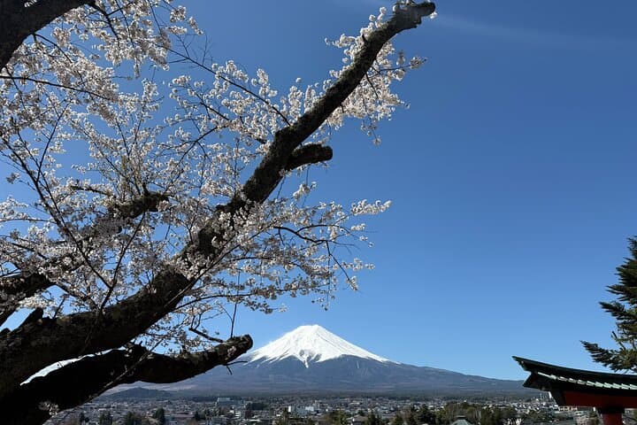 From Tokyo: Mount Fuji Private Trip with English Speaking Driver — photo 10