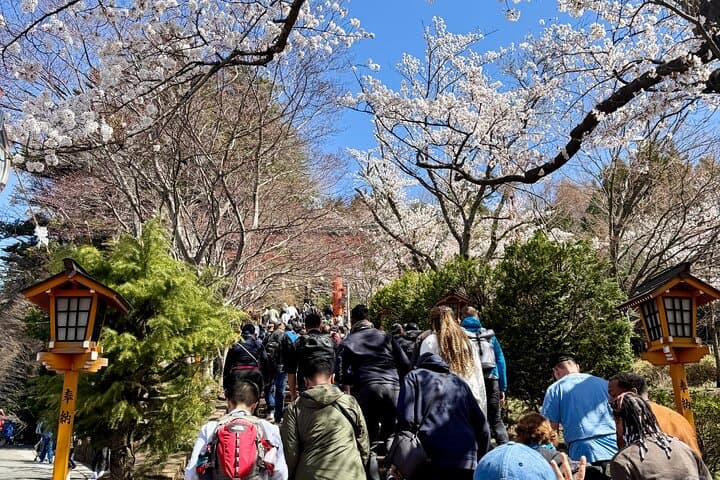Tokyo: Customized Mt. Fuji & Hakone Sightseeing Private Day Trip — photo 17