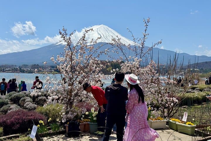 From Tokyo: Mount Fuji Private Trip with English Speaking Driver — photo 13