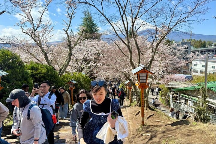 From Tokyo: Mount Fuji Private Trip with English Speaking Driver — photo 11