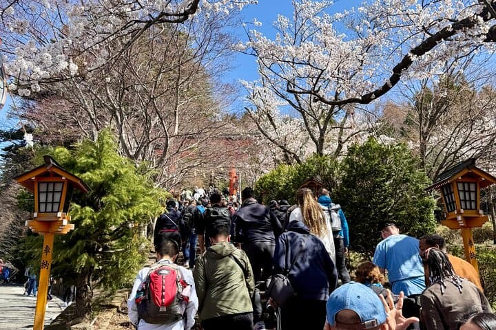 From Tokyo: Mount Fuji Private Trip with English Speaking Driver — photo 12